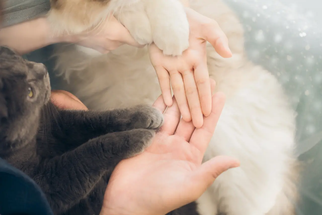 讓人想再拍一次的婚紗回憶